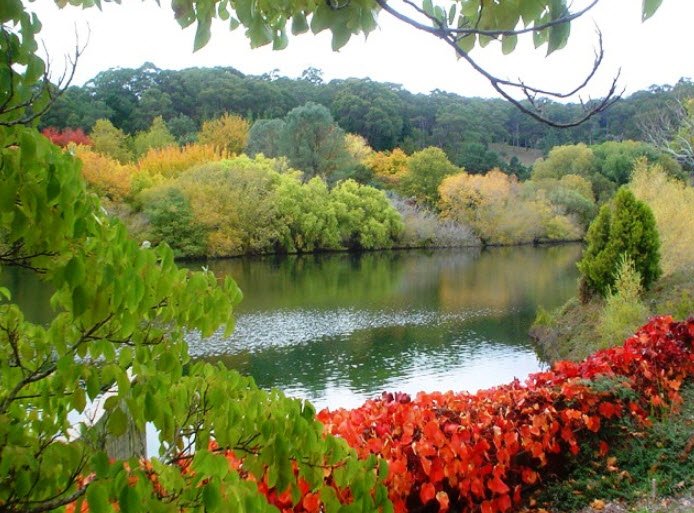 Mount Lofty Botanic Garden